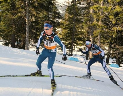 Photo of Nordic skiers