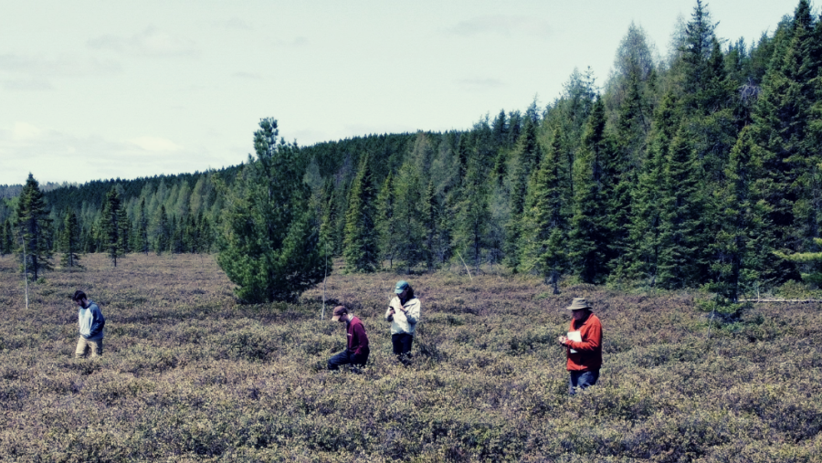 Colin McCarter's team in peatlands around Sudbury
