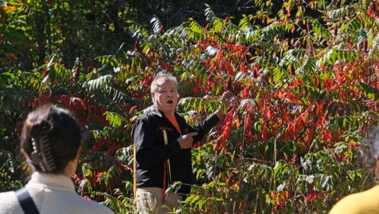 Medicine walk during NU Homecoming 2025