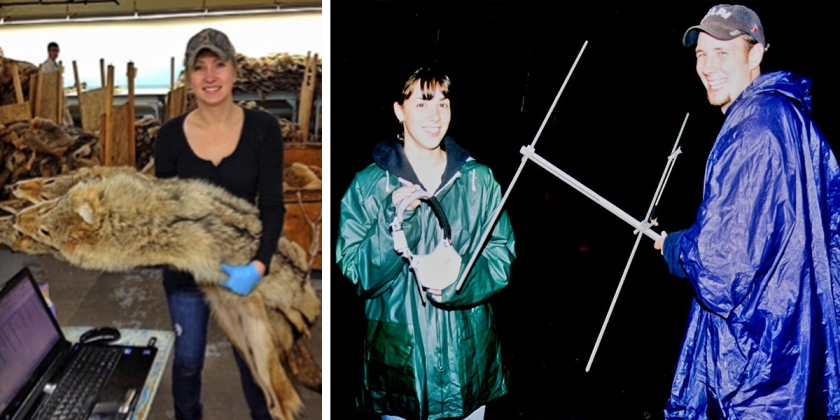 wildlife ecology researchers