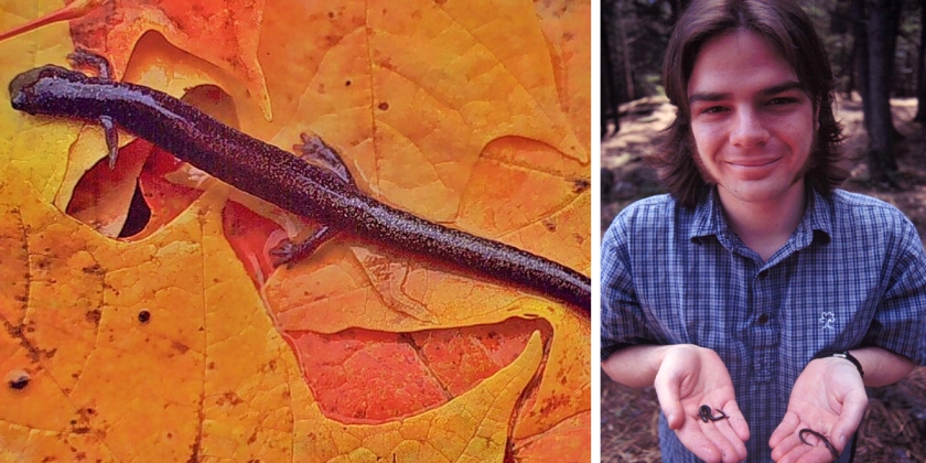 student studying salamanders