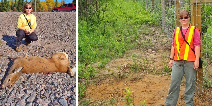 student wildlife researchers