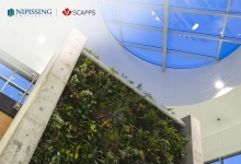 Living wall in athtletics centre