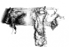 Erin Schwab Migrating Colony Flood