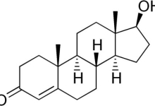 Testosterone structure