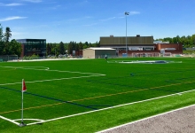 Turf field from ground level