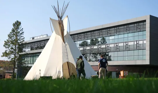 Tipis