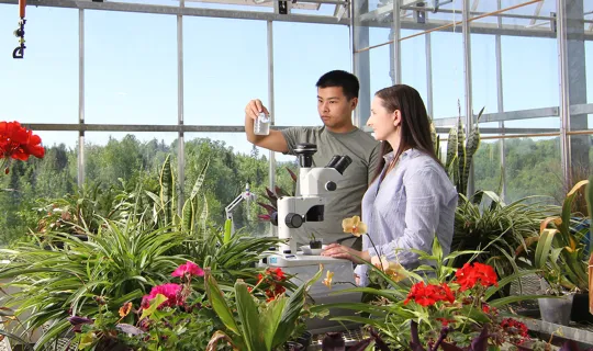 2 people looking at a sample from the microscope in the greenhouse surrounded by plants