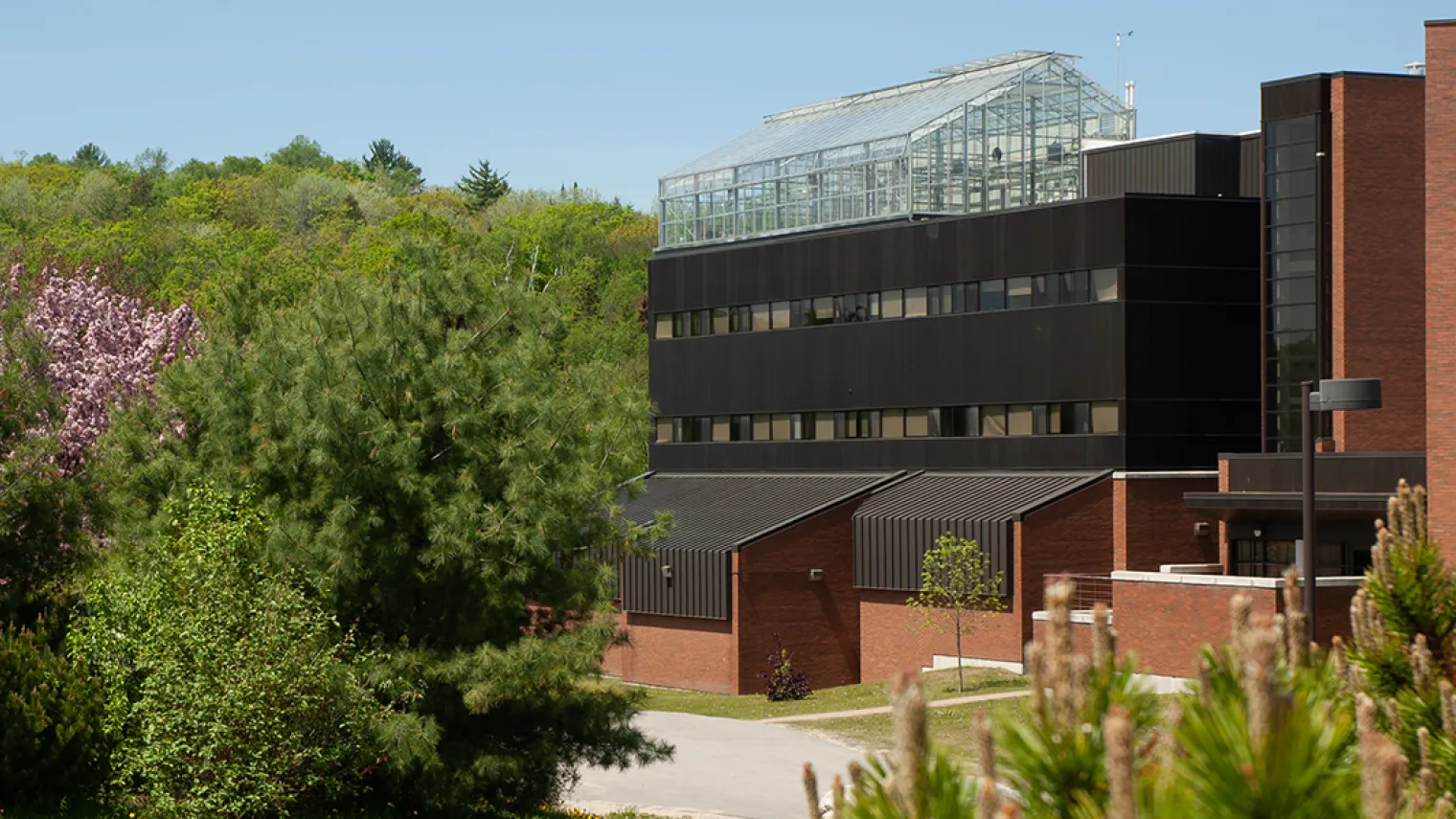 a view of the exterior of the greenhouse