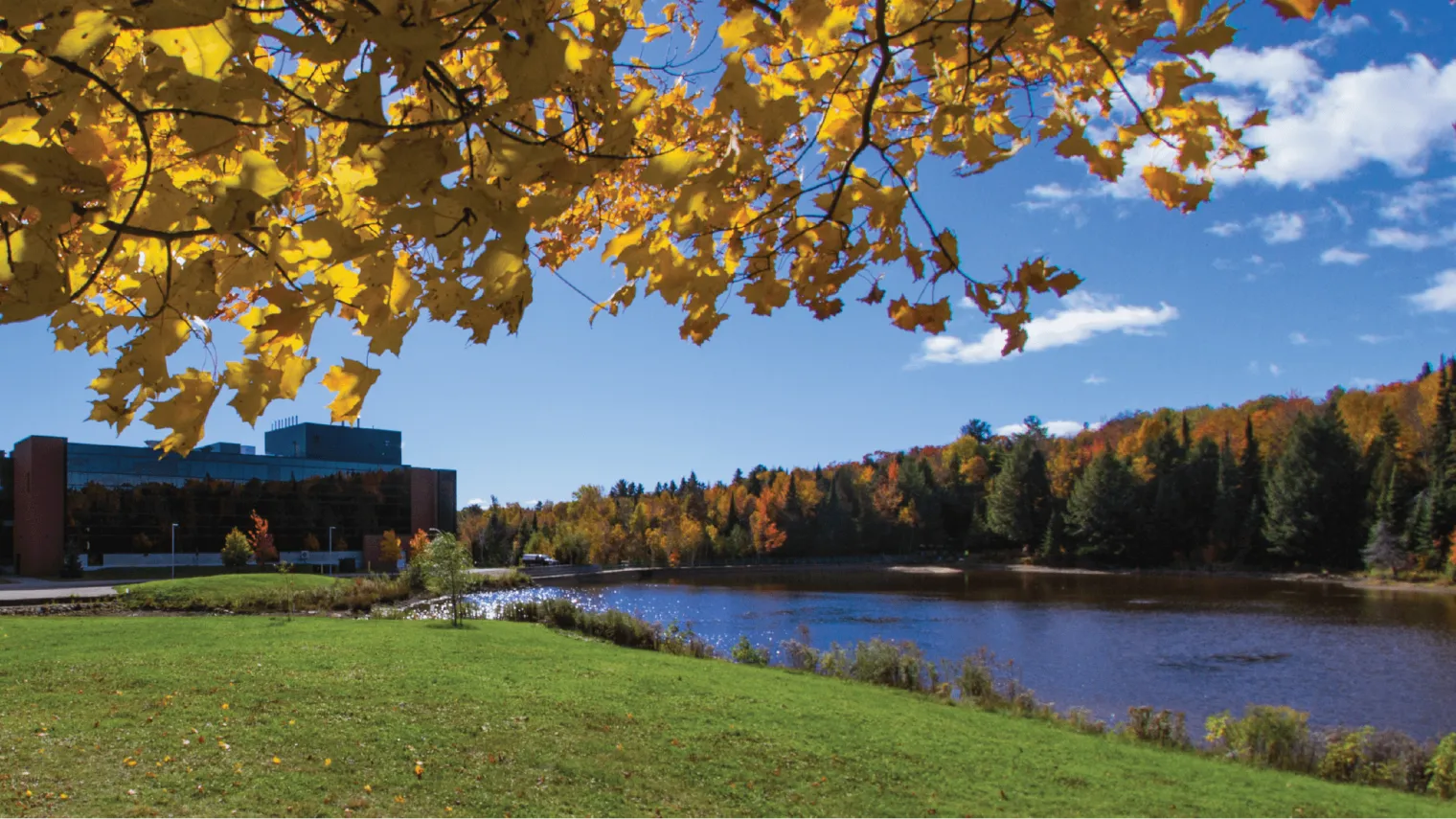 Fall view of the pond on nipissing university campus