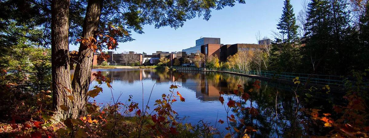 Fall colours on campus