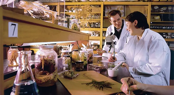 Drosophilia Laboratory