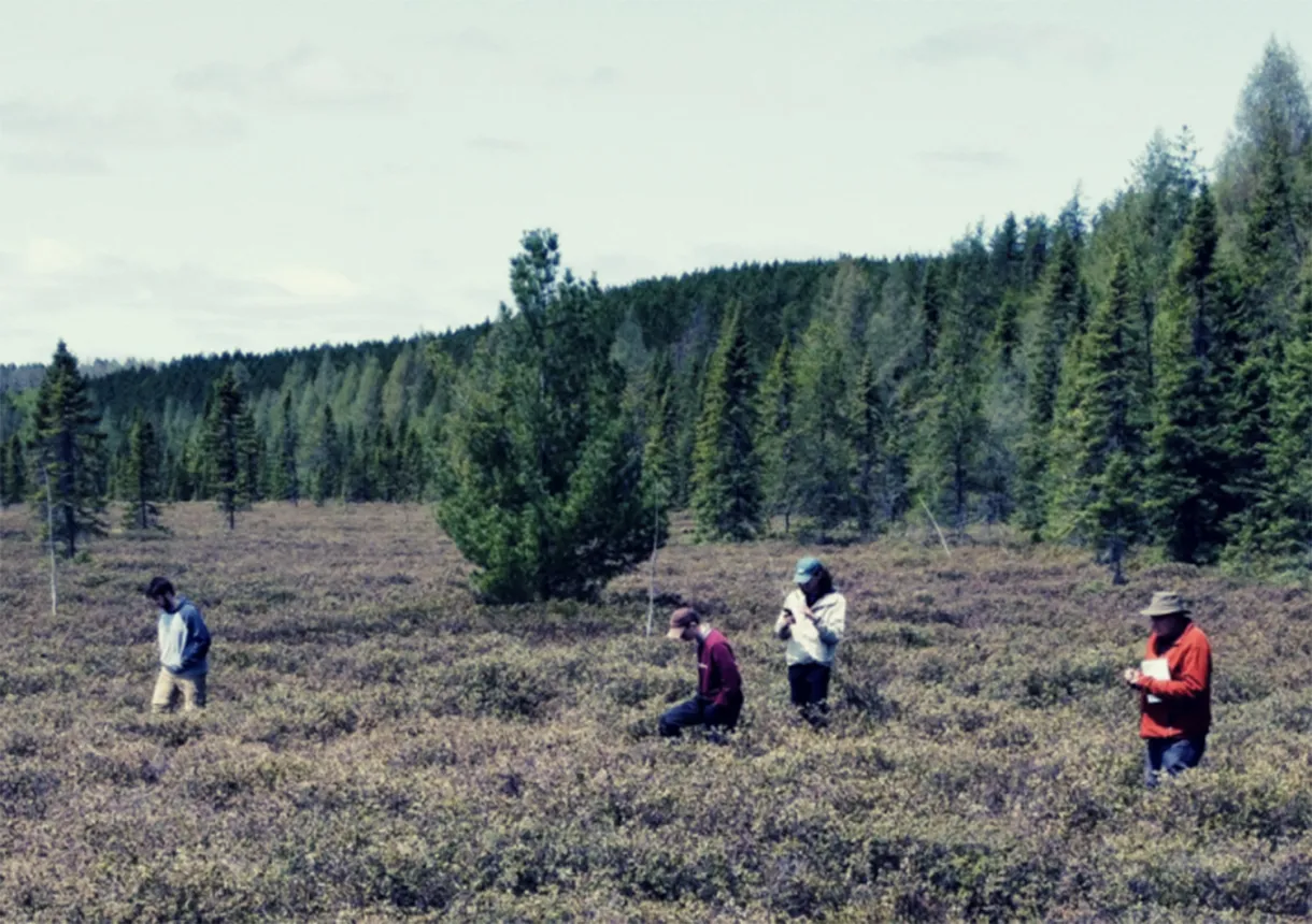 A group of researcher in a field in Sudbury