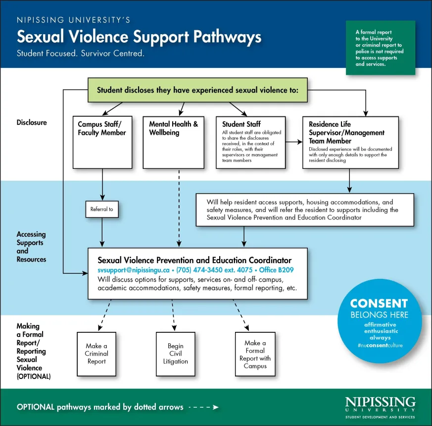 Sexual Violence Pathway Diagram Model