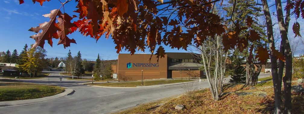 Fall colours on campus