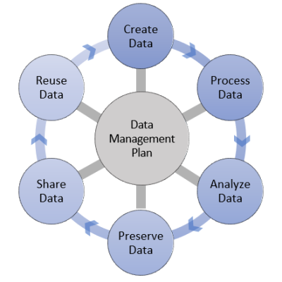 Data Management Plan Graphic