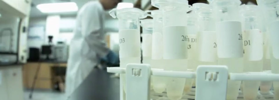 test tubes